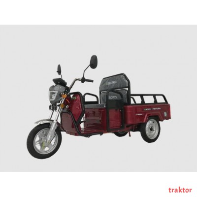 Eborn Cargo Cat 1 V2