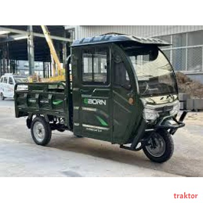 Eborn Cargo Cat 3 V1